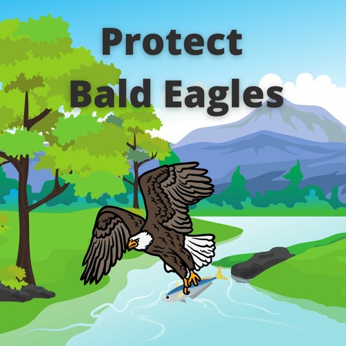 eagles free stream online