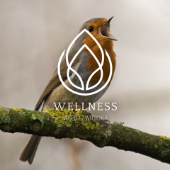 Healing meditations