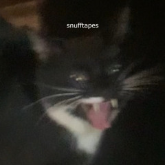 sorry i made u hate radiohead