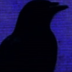 Teo - Sepulturas e Sombras (Demo)