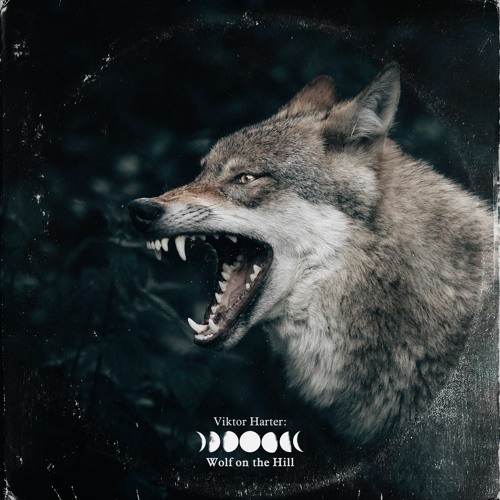 Wolf After Wool ft. MONARRÁ (prod, L.Est)