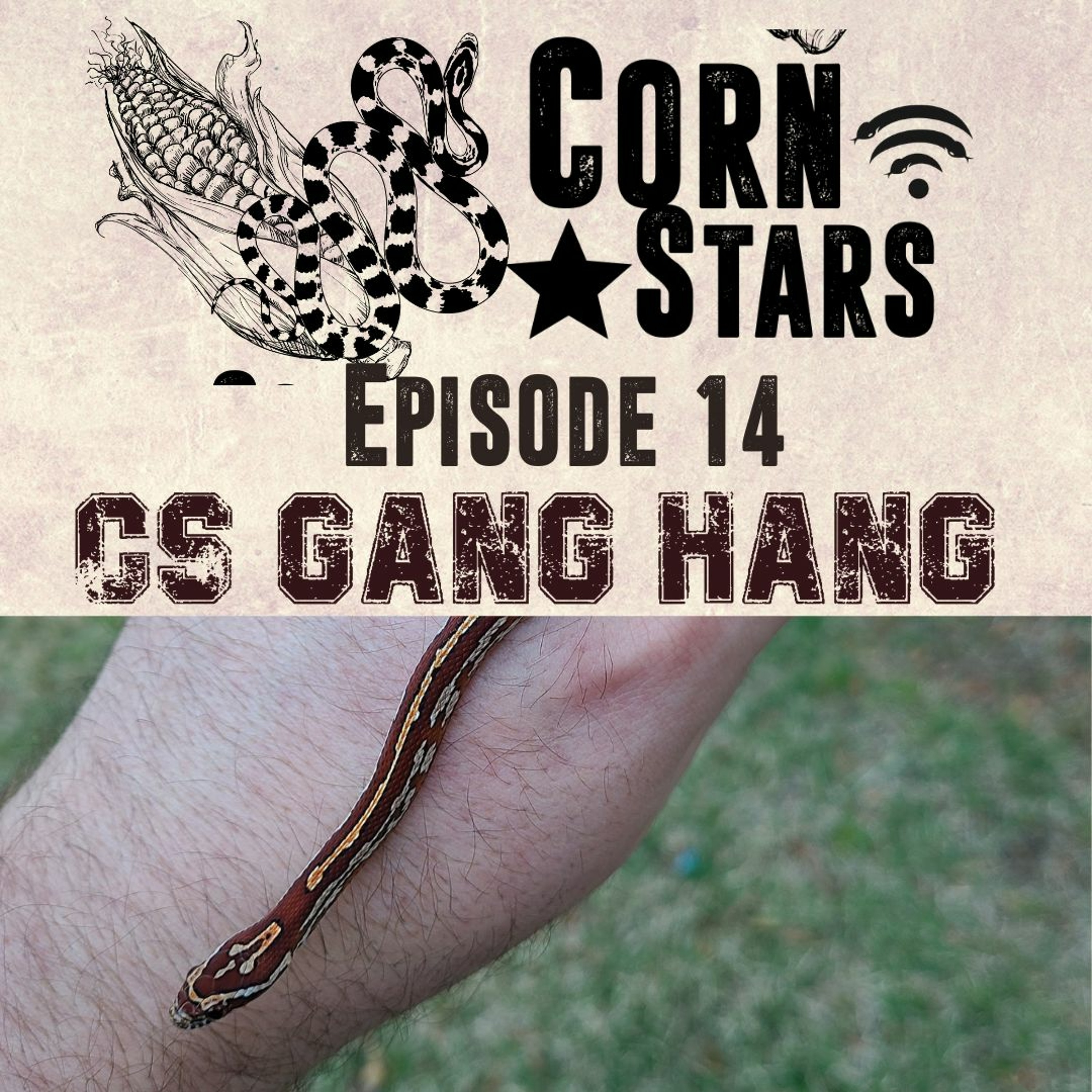 CS Gang Hang | CornStars Ep. 14