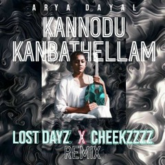kannodu kanbatellam - arya dhayal (cheekzzzz & lostdayz remix)