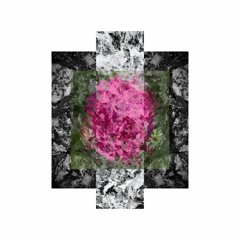 Collages 2022, Brooklyn