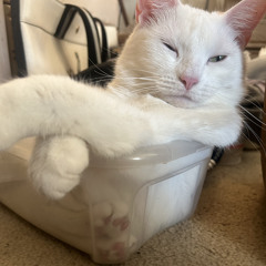 Outside Prod.Charlie