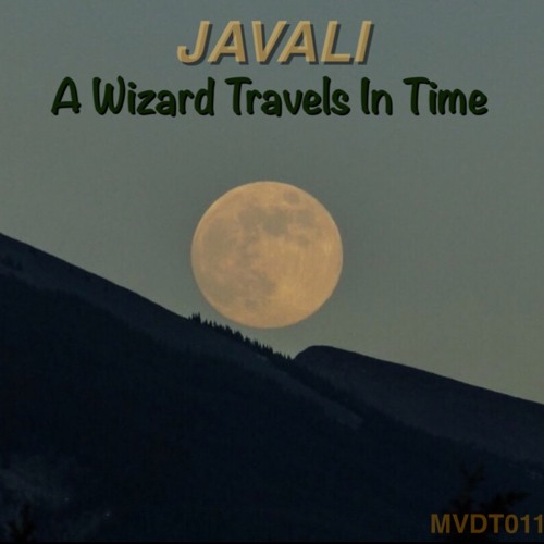 FREE DL: JAVALI - A Wizard Travels In Time (Original Mix)[MVDT011]
