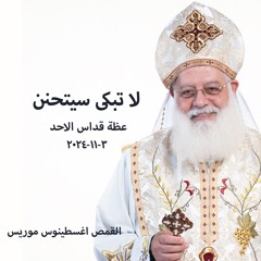 لا تبكى سيتحنن - القمص أغسطينوس موريس - 3 - 11 - 2024قداس الآحد