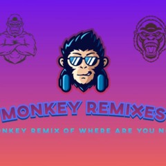 Monkey Remix - Where Are You Now