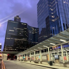 cynical – シニカル!