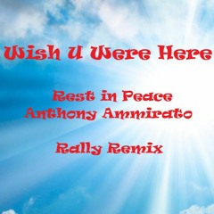 Wish U Were Here (Rally Remix)