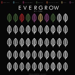 EVERGROW #58 - La Playa (Jungle/House)