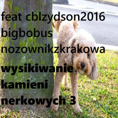 wysikiwanie kamieni nerkowych (feat cblżydson2016, big bobus, nozownikzkrakowa)