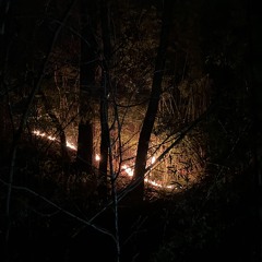 cant be scared 4ever