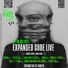 Pablo E. Peña P.  - Performance Expanded Code Live Bogotá 2025