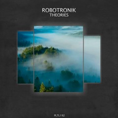 RoBoTRoNik - Midnight Wandering