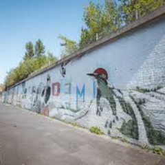 Panik