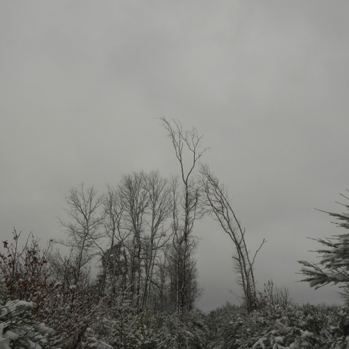 Delphine Dora - New Dimensions