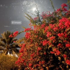 فهد بن فصلا - رد روحي حصرياً (2019) بطىء ❤️❤️ (160k)_1764581145680.oga