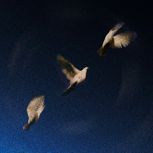 Artwork for the song SWIM - Everything You Need  by SWIM on Next Sound