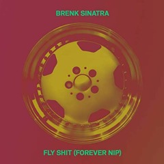 Brenk Sinatra  -  Fly Shit (Forever Nip) 432 hz