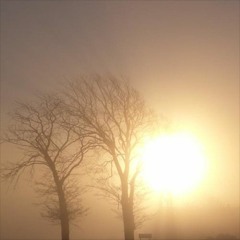 Ambient 36