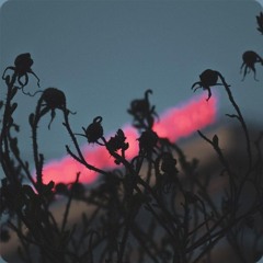 Под одеялом - cold carti