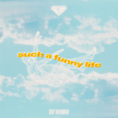 Such a Funny Life