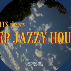 deep jazzy house mix at gin rummy bar in venice, ca