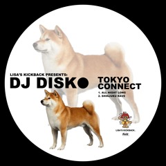 DJ DISK - All Night Long (LKB 0004)