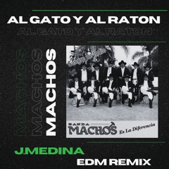 Banda Machos - Al Gato Y Al Raton (J Medina EDM DROP)