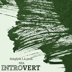 INTROVERT prod. NZA