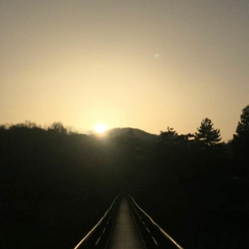 the unknown path