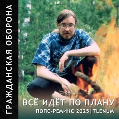 Гражданская Оборона - Всё идёт по плану 2025 (Ремикс by TLENUM)