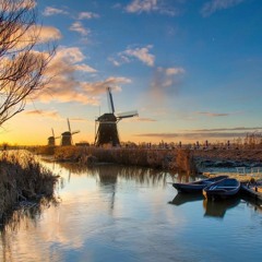 bruno major - nothing.