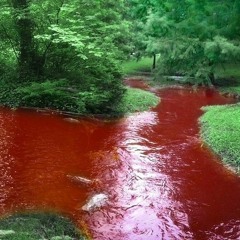 зоХа - я очень пьяный, зай