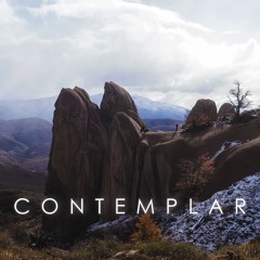| Contemplar 013