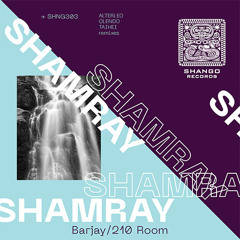 SHNG303 Shamray-Barjay/210 Room