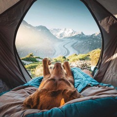 Yonder (Feat Gustaf)