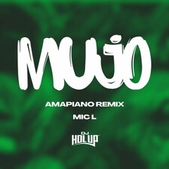 Mic L - Mujo Amapiano Remix (Hol Up)