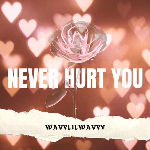 Never Hurt You