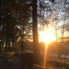 untitled (⁠/⁠^⁠-⁠^⁠(⁠^⁠ .^⁠*⁠)⁠/