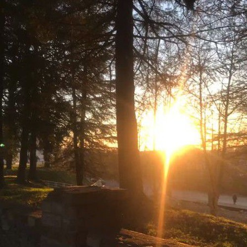 untitled (⁠/⁠^⁠-⁠^⁠(⁠^⁠ .^⁠*⁠)⁠/