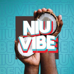 Dj Napster Remixx - BULA EKE [REGGAE REMIXX] 2025