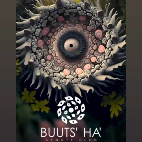 Tulum - Live from Buuts' Ha' Cenote Club Feb 2023
