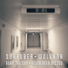 Burn the Sun (feat. Wollank)