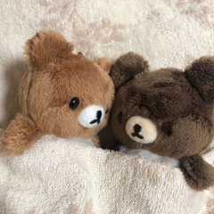 bol4 feat. minhyun - chase love hard (sped up)