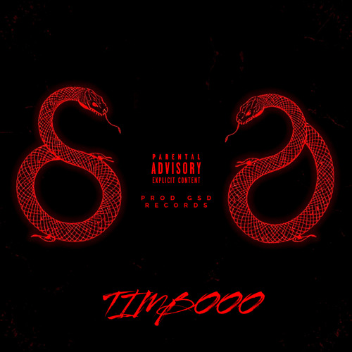 Timbo feat 28 vvs-  Back In The Hood (Official Audio)