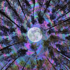 Trip Beats