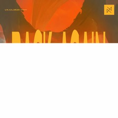 Pulsetronica - Back Again