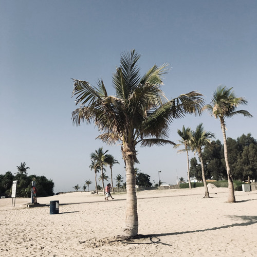 451 - Life's a Nikki Beach